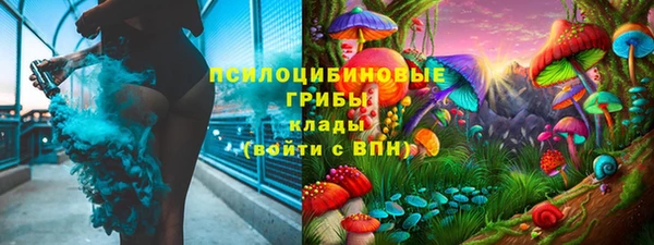 ALPHA-PVP Покров