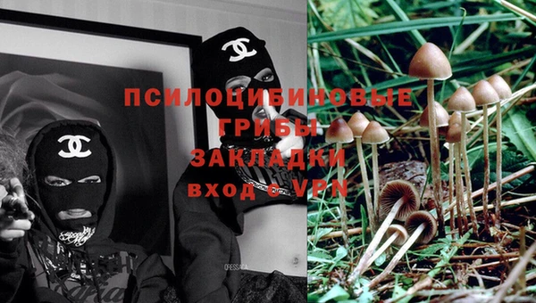 ALPHA-PVP Покров