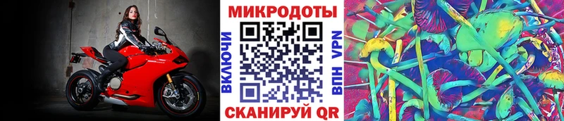 купить наркотик  Харовск  Псилоцибиновые грибы Cubensis 